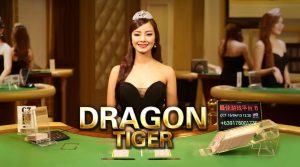 Một số điều cần ghi nhớ khi tham gia Rồng Hổ XIBET